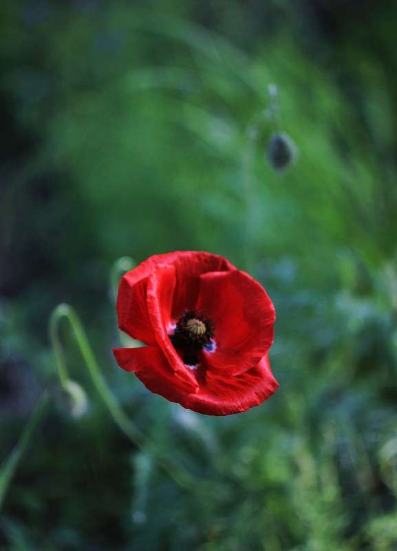 � ����� ���) ����� �����  �� PhotoGeek.ru #������ ��� ������� #����� ��������������