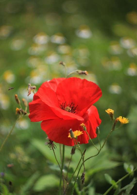 � ����� ... ���)))) ����� �����  �� PhotoGeek.ru #������ ��� ������� #����� ��������������