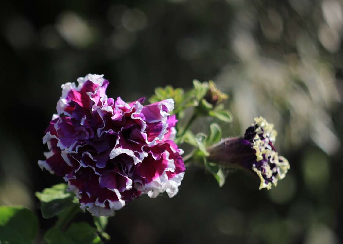 ������� ����� �����  �� PhotoGeek.ru #������ ��� ������� #����� ��������������