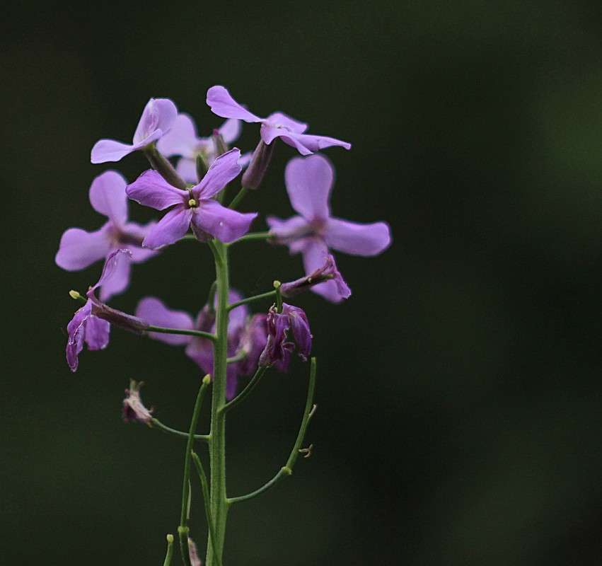 ... ����� �����  �� PhotoGeek.ru #������ ��� ������� #����� ��������������