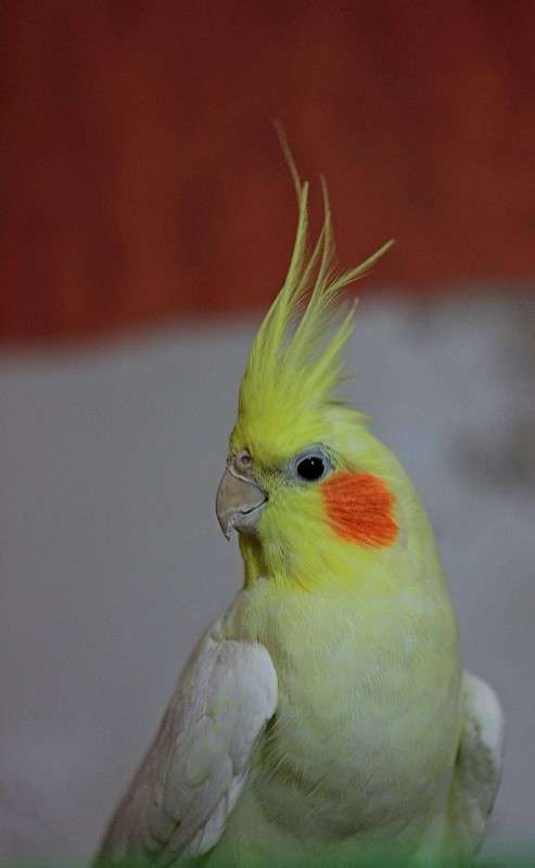 ����� ����� �����  �� PhotoGeek.ru #�������� ���