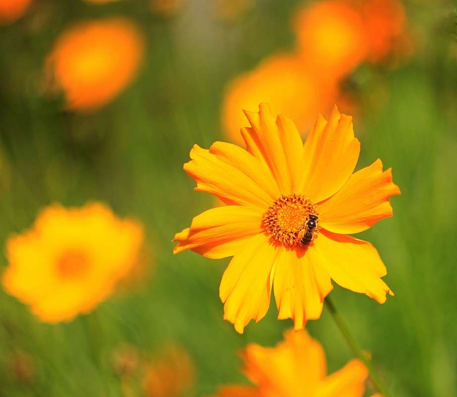 �������� ����� �����  �� PhotoGeek.ru #������ ��� ������� #����� ��������������