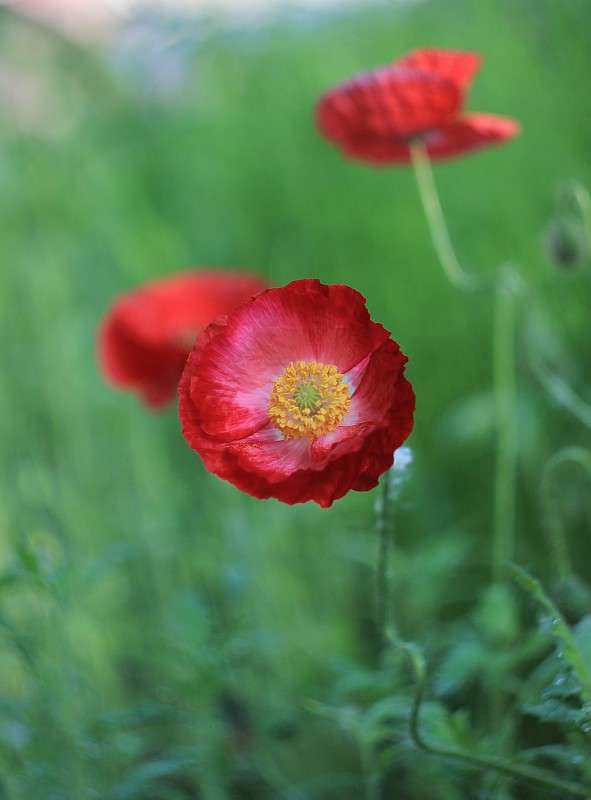 )) ����� �����  �� PhotoGeek.ru #������ ��� ������� #����� ��������������