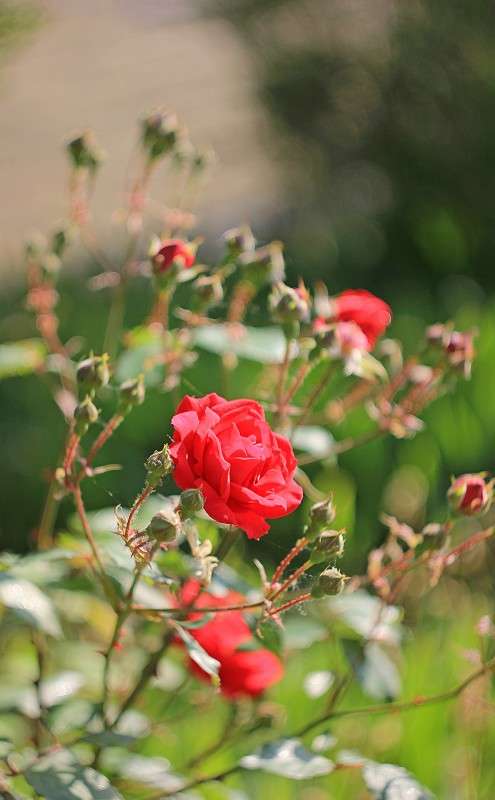 ������ ����� �����  �� PhotoGeek.ru #������ ��� ������� #����� ��������������