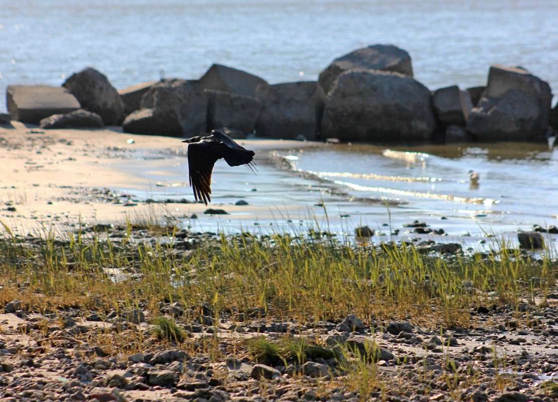 ��� ����� ��������....) ����� �����  �� PhotoGeek.ru #�������� ��� #������ ��� ������� #����� ��� ��� ��������� #����� ��������