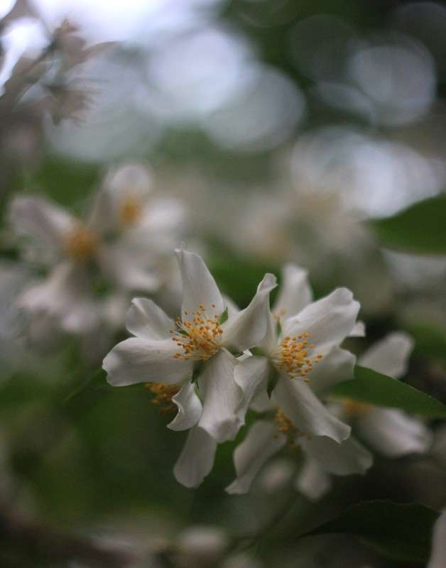 ������ ����� �����  �� PhotoGeek.ru #������ ��� ������� #����� ��������������