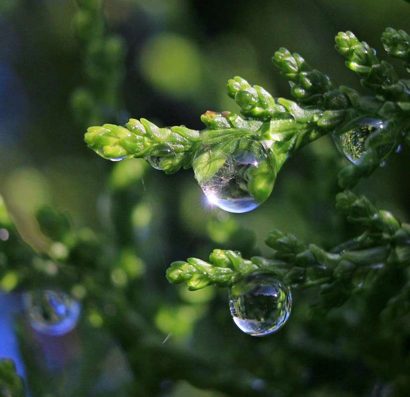 ����� ������� ����� �����  �� PhotoGeek.ru #������ ��� ������� #����� ��������������