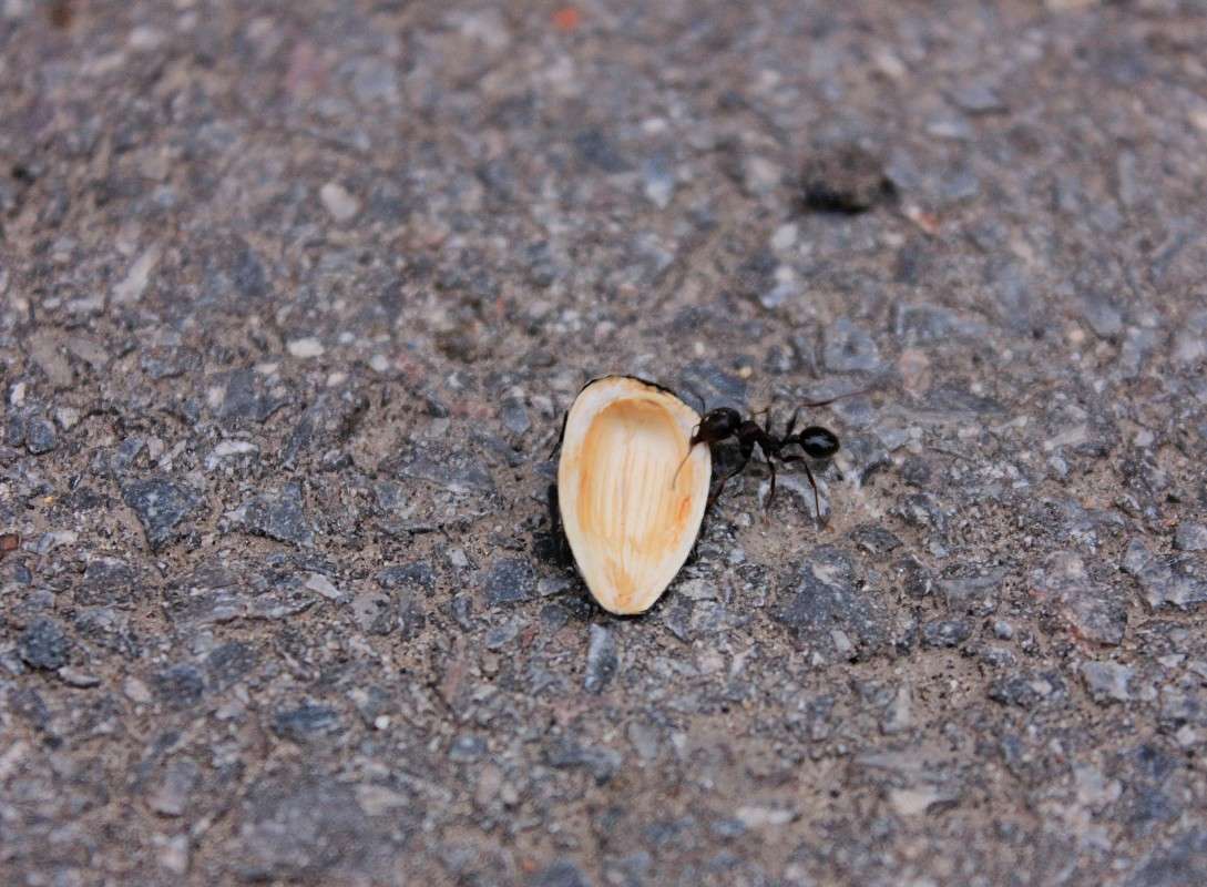 ������� ����� �����  �� PhotoGeek.ru #�������� ���