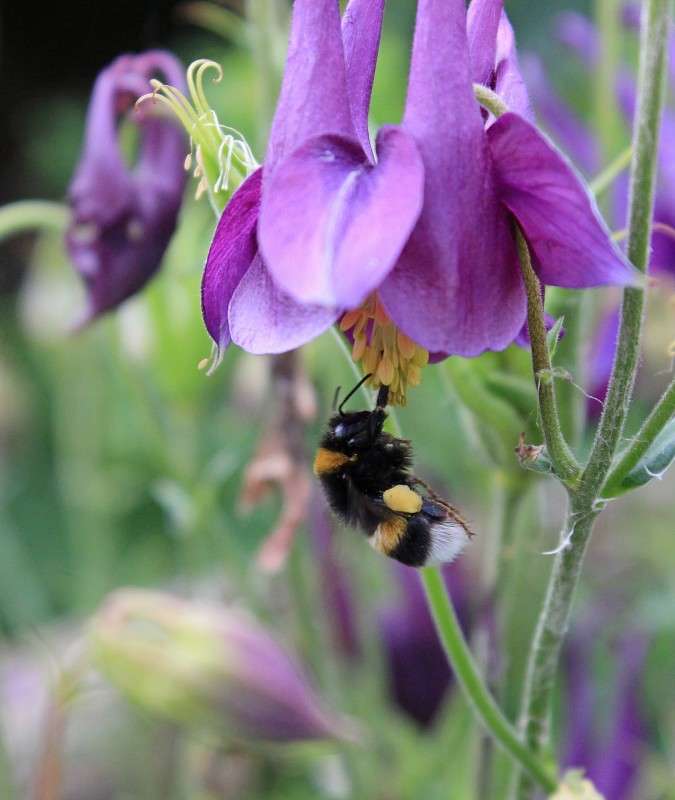 �� ����� ���� ����� �����  �� PhotoGeek.ru #�������� ��� #������ ��� �������