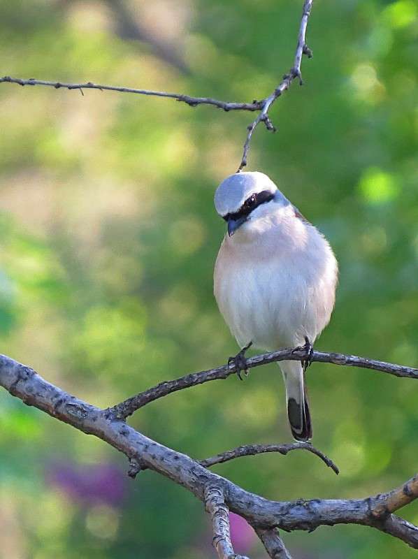 ���,���... ����� �����  �� PhotoGeek.ru #�������� ��� #������ ��� ������� #���������