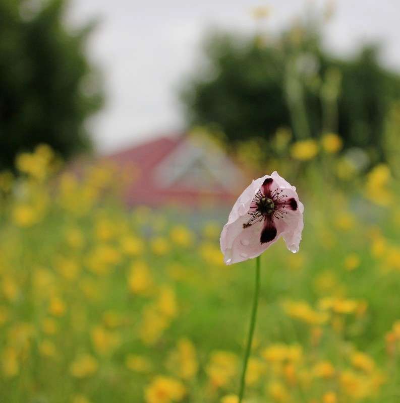 ... ����� �����  �� PhotoGeek.ru #������ ��� ������� #����� ��������������