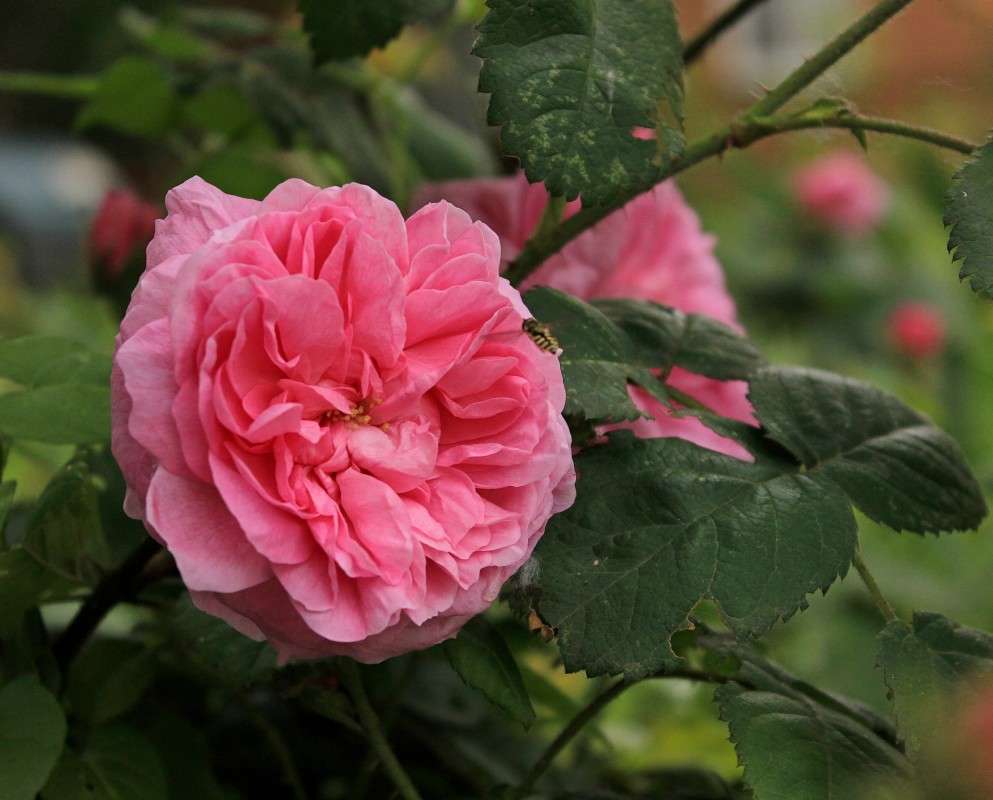 ... ����� �����  �� PhotoGeek.ru #������ ��� ������� #����� ��������������