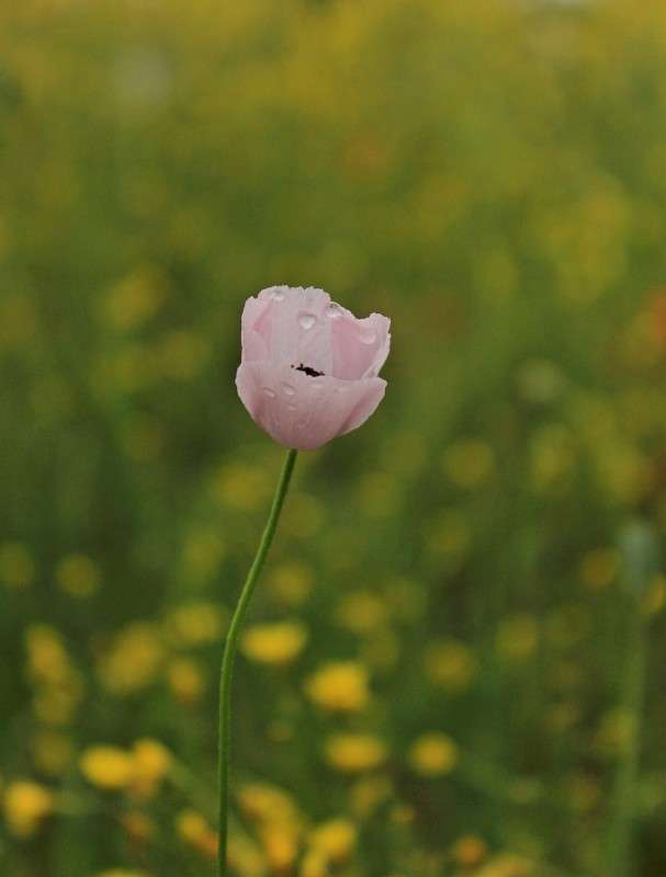 ... ����� �����  �� PhotoGeek.ru #������ ��� ������� #����� ��������������