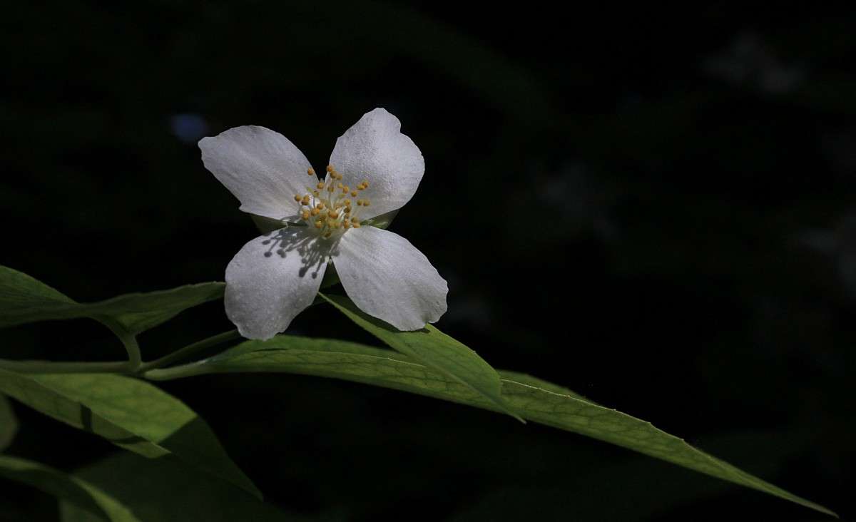 ������ ����� �����  �� PhotoGeek.ru #������ ��� ������� #����� ��������������