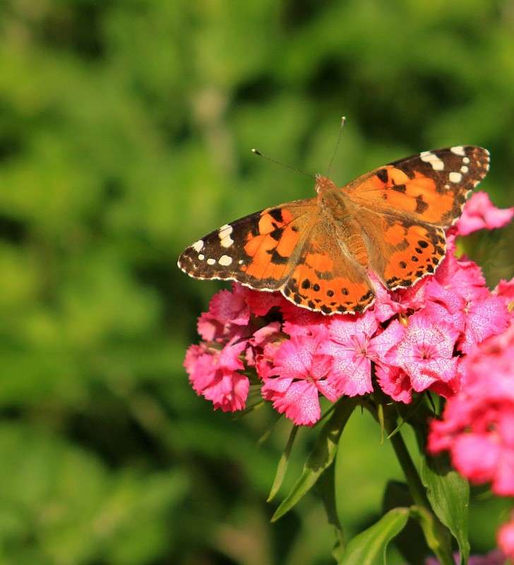 �� �������� ����� �����  �� PhotoGeek.ru #�������� ��� #������ ��� ������� #����� �������������� #���������