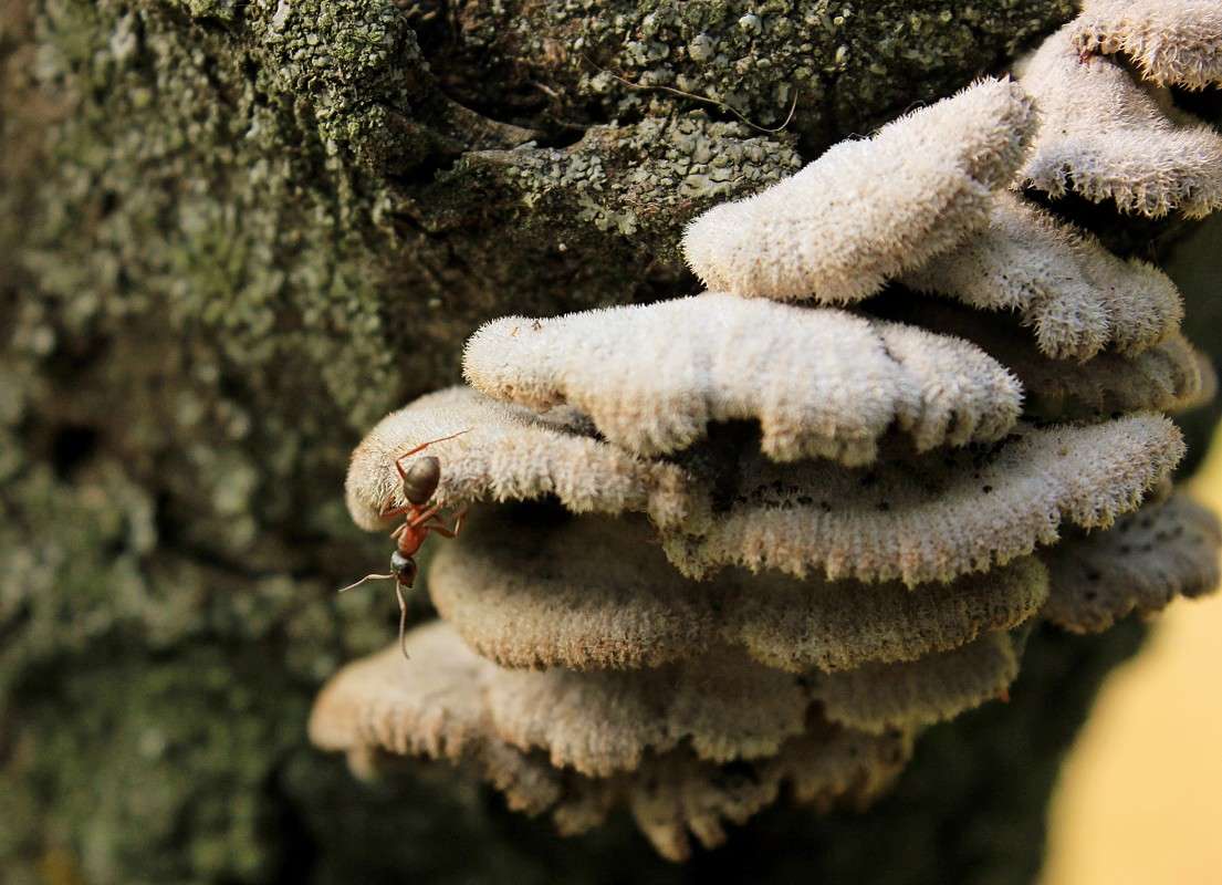 ... ����� �����  �� PhotoGeek.ru #������ ��� ������� #����� ��������������