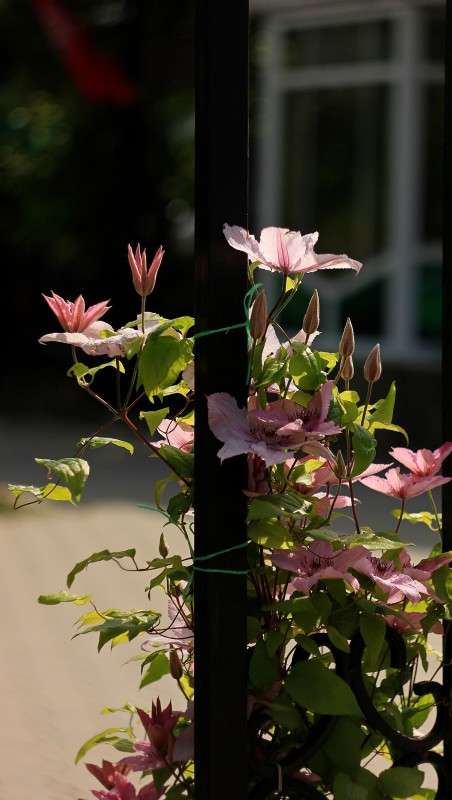 ������ ����� �����  �� PhotoGeek.ru #������ ��� ������� #����� ��������������