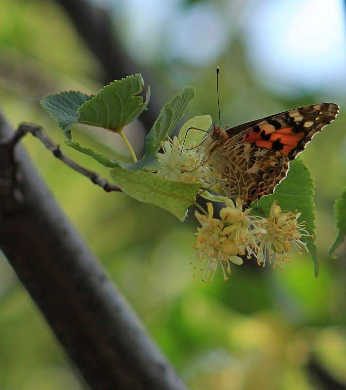 �� ����� ����� �����  �� PhotoGeek.ru #������ ��� ������� #����� ��������������