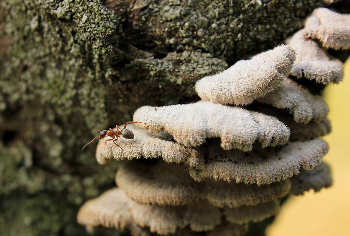 ��������� ����� �����  �� PhotoGeek.ru #�������� ��� #������ ��� ������� #����� ��������������