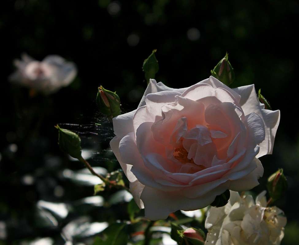 ... ����� �����  �� PhotoGeek.ru #������ ��� ������� #����� ��������������