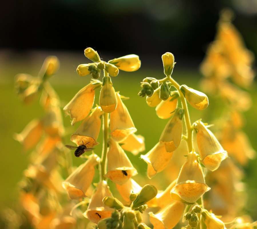 �������� ����� �����  �� PhotoGeek.ru #������ ��� ������� #����� ��������������