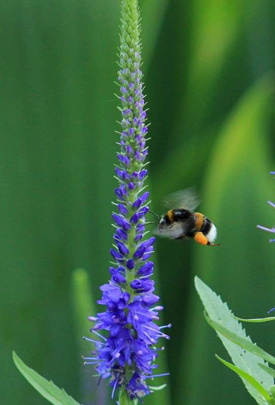 �������� ����� ��.... ����� �����  �� PhotoGeek.ru #�������� ��� #������ ��� ������� #����� ��������������