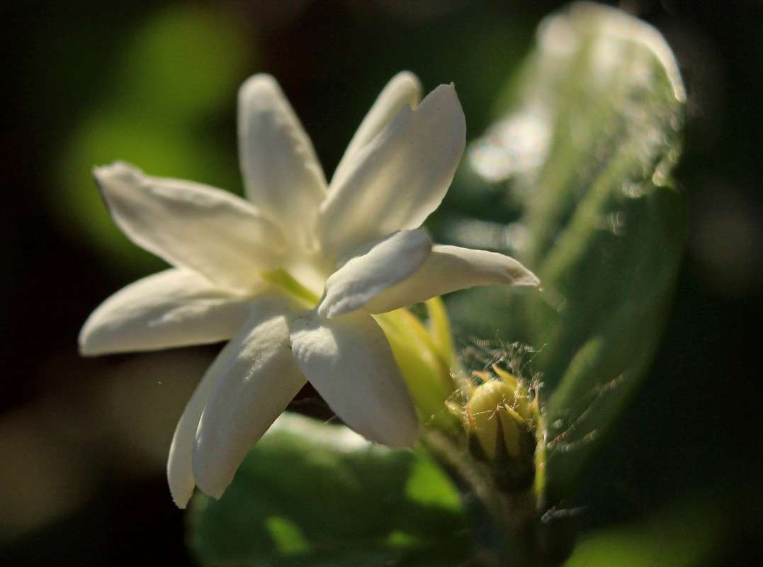 ������ ����� �����  �� PhotoGeek.ru #������ ��� ������� #����� ��������������