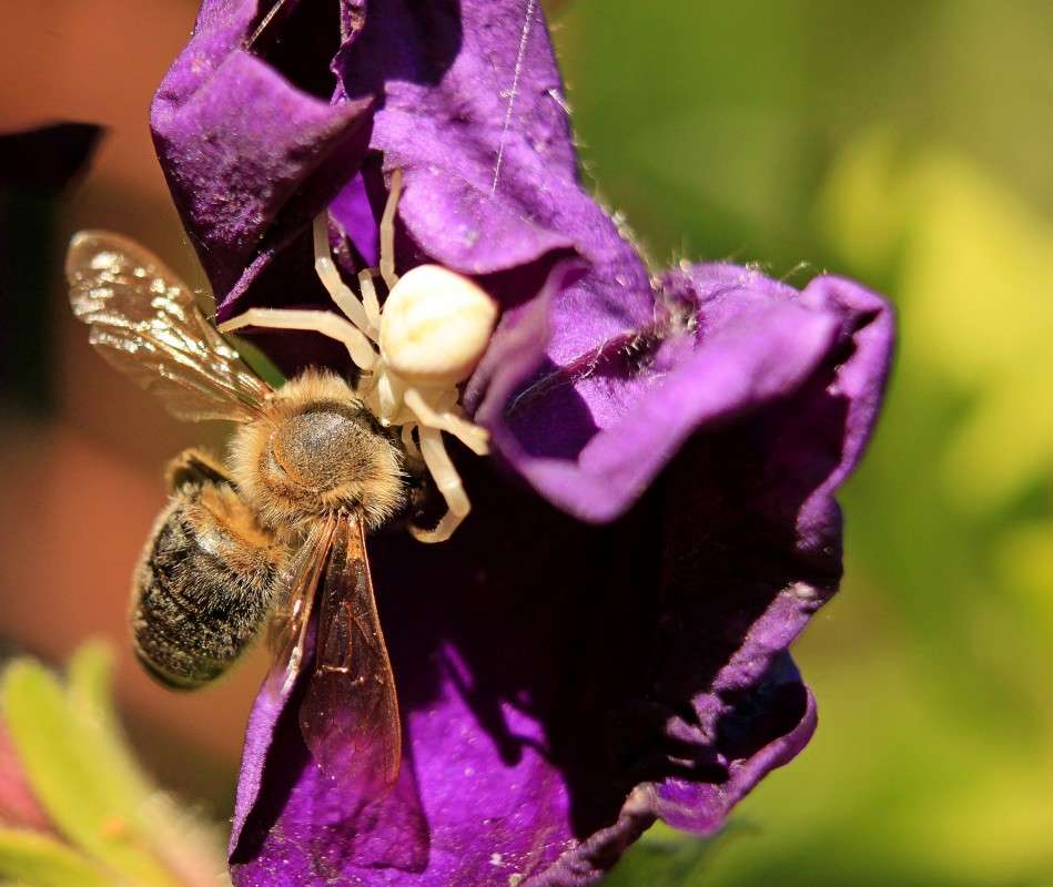 ��� ������( ����� �����  �� PhotoGeek.ru #����� #�������� ��� #������ ��� ������� #����� ��� ��� ��������� #����� ��������