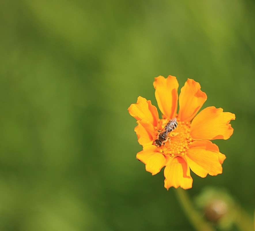 ... ����� �����  �� PhotoGeek.ru #������ ��� ������� #����� ��������������