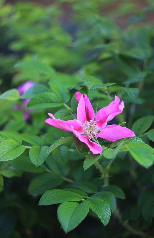 �������� ����� �����  �� PhotoGeek.ru #������ ��� ������� #����� ��������������