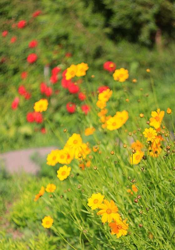 ... ����� �����  �� PhotoGeek.ru #������ ��� ������� #����� ��������������