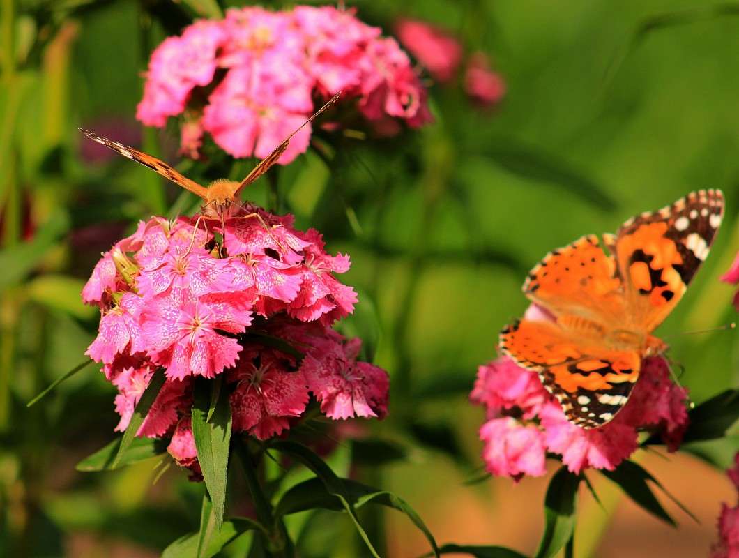 ��� �������� ����� �����  �� PhotoGeek.ru #������ ��� ������� #����� ��������������