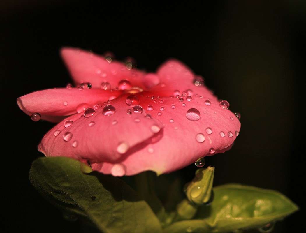 �����1 ����� �����  �� PhotoGeek.ru #������ ��� ������� #����� ��������������