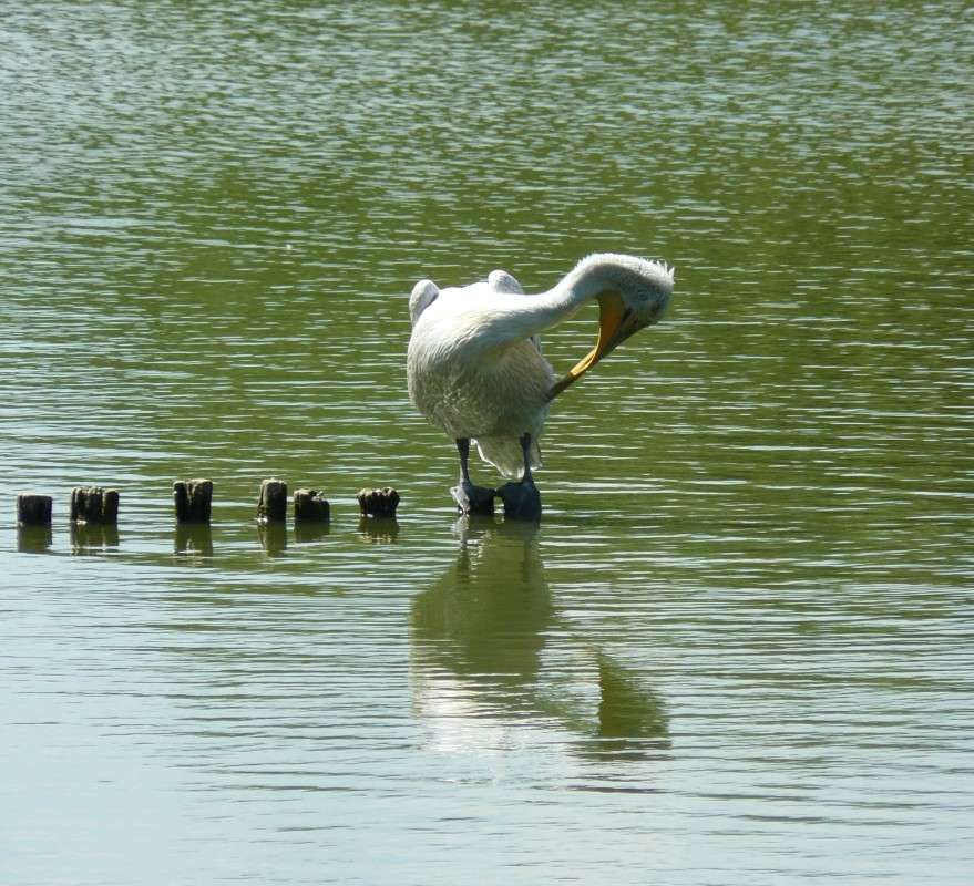 ���� ��� ��������� �����..))) ����� �����  �� PhotoGeek.ru #�������� ���