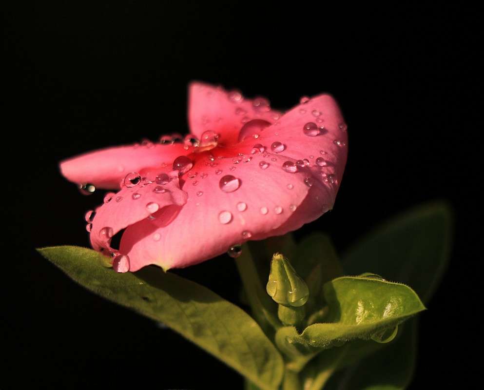 ����� 4 ����� �����  �� PhotoGeek.ru #������ ��� ������� #����� ��������������