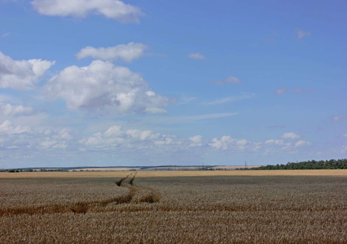 ��� ���� ����� �����  �� PhotoGeek.ru #������ ��� ������� #����� ��������