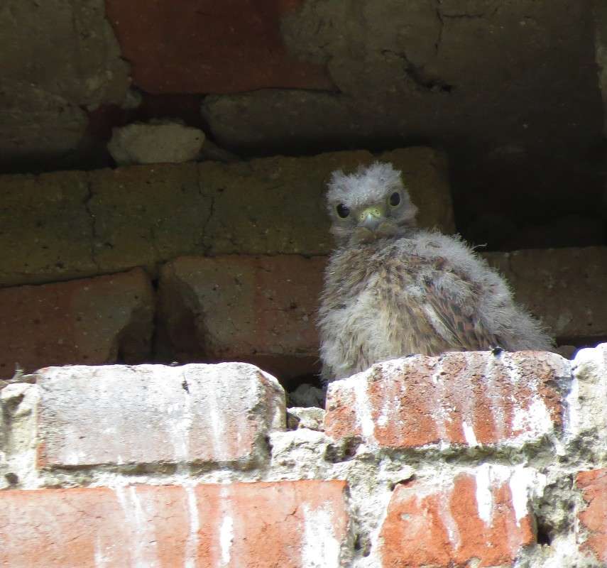 ��� ���� ��? ����� �����  �� PhotoGeek.ru #�������� ��� #����� ��� ��� ���������