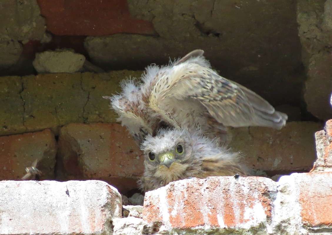 ���� � ��� ���!!!)) ����� �����  �� PhotoGeek.ru #�������� ��� #����� ��� ��� ���������