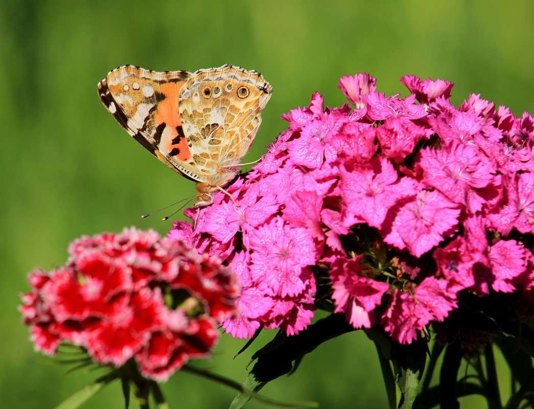 ����� ������� ����� �����  �� PhotoGeek.ru #������ ��� ������� #����� ��������������