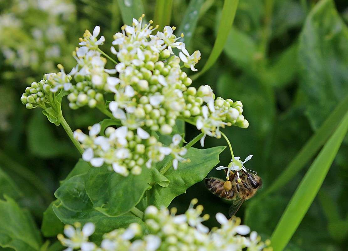 �� ����� ����� �����  �� PhotoGeek.ru #�������� ��� #������ ��� ������� #����� ��������������