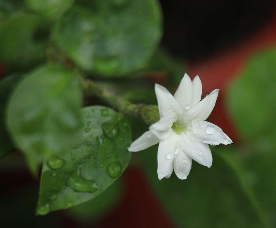 ������ ����� ���� ����� �����  �� PhotoGeek.ru #������ ��� ������� #����� ��������������