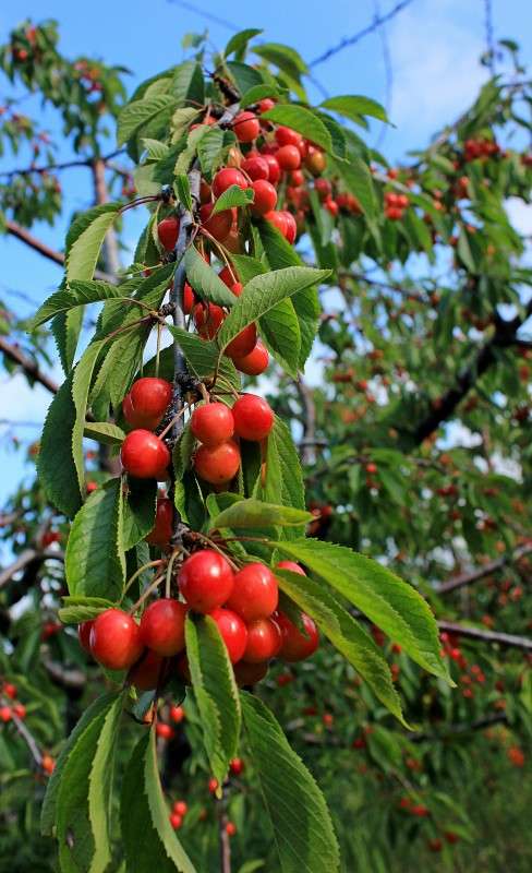 ������ ����� �����  �� PhotoGeek.ru #������ ��� ������� #����� ��������������