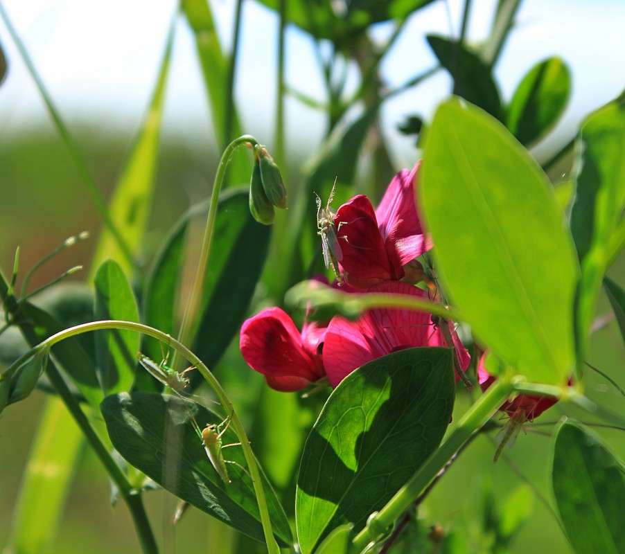 ������� � ��������) ����� �����  �� PhotoGeek.ru #������ ��� ������� #����� ��������������