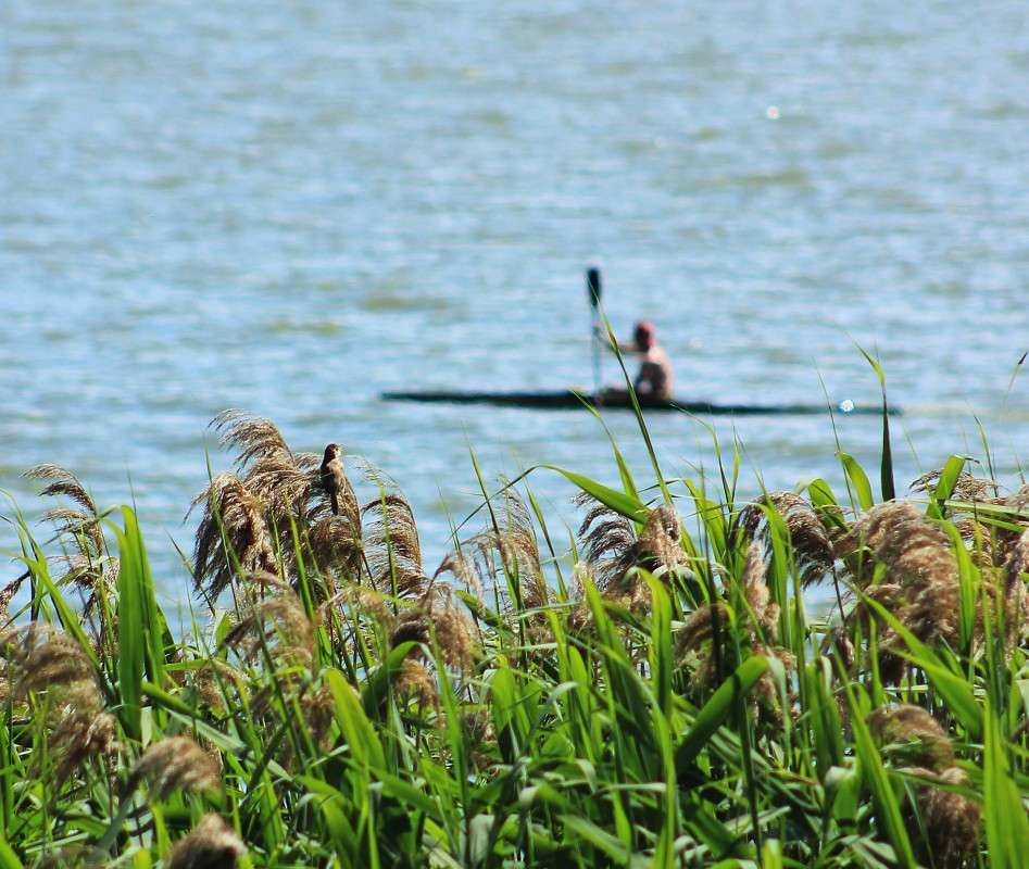 ... ����� �����  �� PhotoGeek.ru #������ ��� ������� #����� ��������������