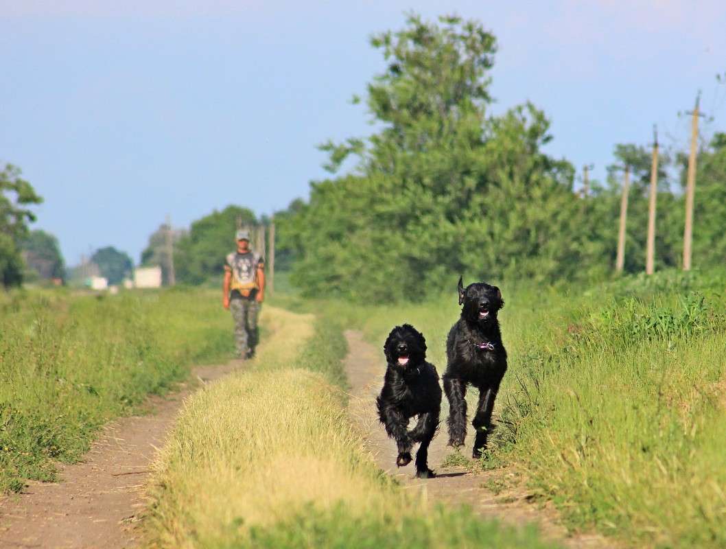 �� ������� ����� �����  �� PhotoGeek.ru #�������� ��� #������ ��� ������� #����� ��������