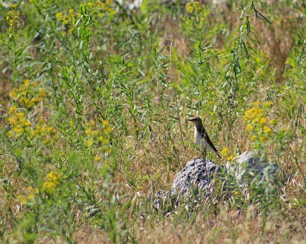 �������) ����� �����  �� PhotoGeek.ru #�������� ��� #������ ��� ������� #����� ��������������