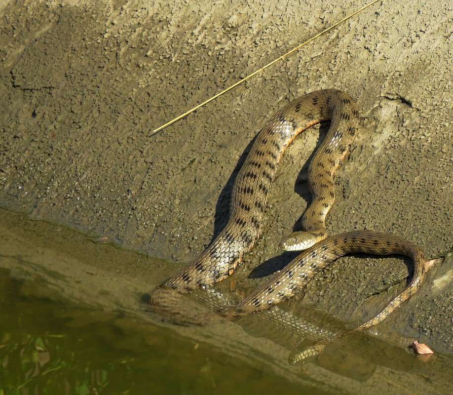 ������� ����� �����  �� PhotoGeek.ru #�������� ���