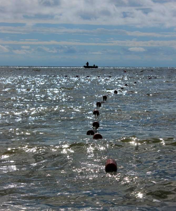 � ���� ����� �����  �� PhotoGeek.ru #������ ��� ������� #����� ��������