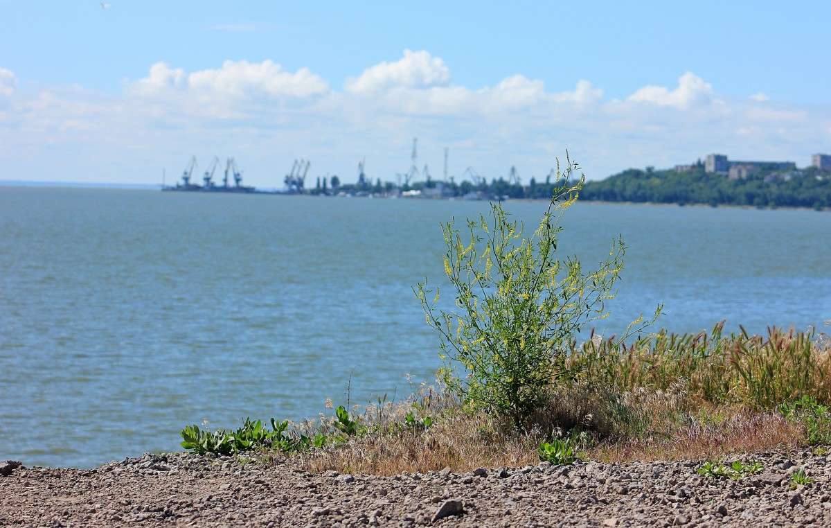 ��� �� ���� ����� �����  �� PhotoGeek.ru #������ ��� ������� #����� �������������� #����� ��������