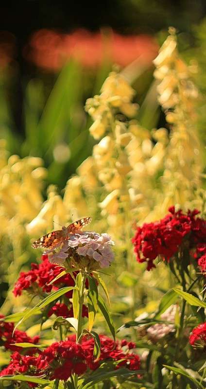 ���� ����� �����  �� PhotoGeek.ru #������ ��� ������� #����� ��������������